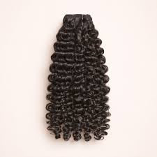 Burmese Curly ( PREORDER)